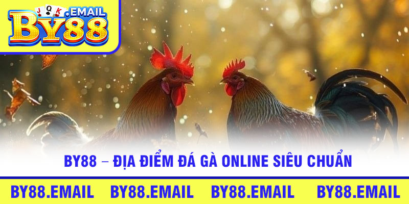 By88 – Địa điểm đá gà online siêu chuẩn