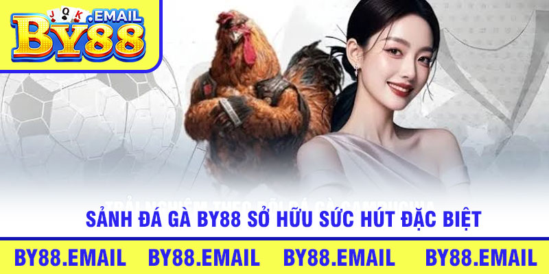 Sảnh Đá Gà By88 sở hữu sức hút đặc biệt