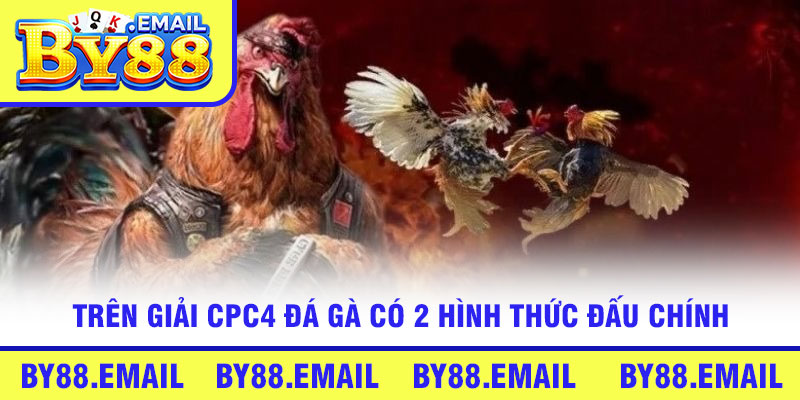 Trên Giải CPC4 đá gà có 2 hình thức đấu chính